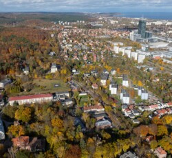 Otoczenie – obraz