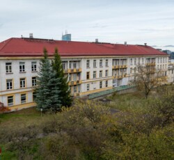 Otoczenie – obraz