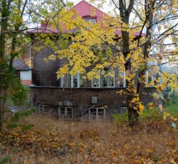 Otoczenie – obraz