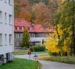 Otoczenie – obraz