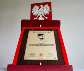 94. rocznica 7SZMW – obraz