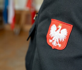 94. rocznica 7SZMW – obraz
